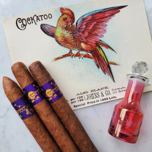 ACCOMPLICE COROJO LANCERO (7 x 39) - PURPLE BAND