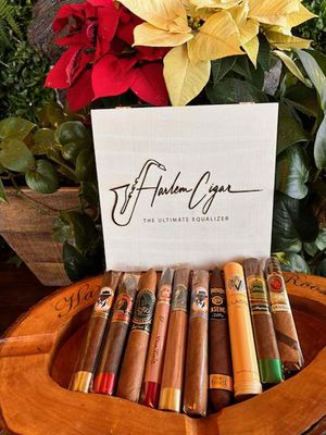 Apollo Bundle