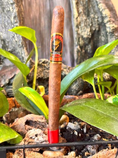 Harlem the Brother - Madurro