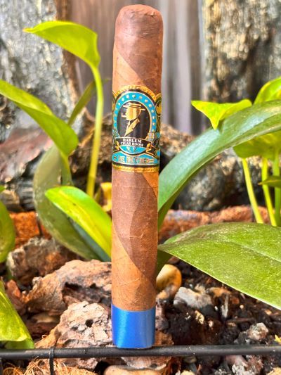 Harlem the Brother - Barberpole