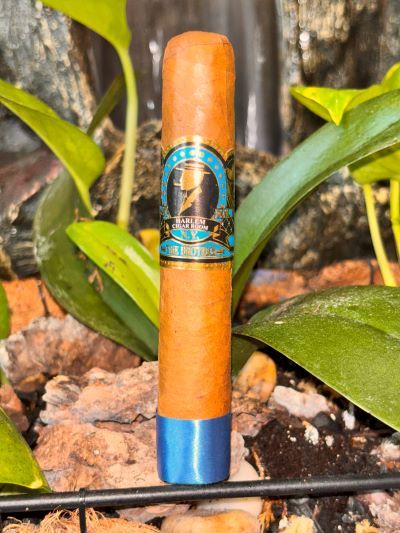 Harlem the Brother - Sweet Tip