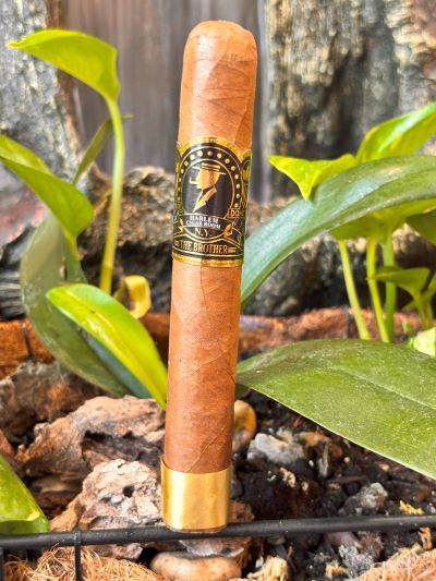 Harlem the Brother - Habano Ecuador Harlem the Brother - Habano Ecuador