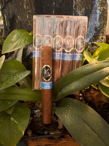 M-Gell Maduro Cigars