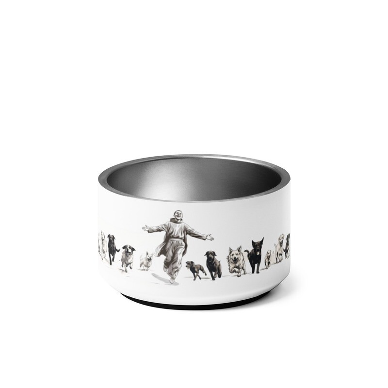 St. Francis Pet bowl