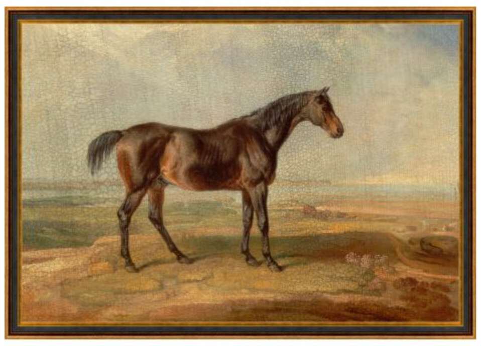 MAV- KNIGHT HORSE