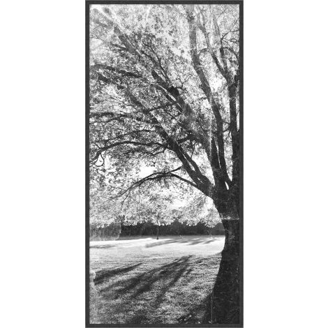Shadowy Tree Set