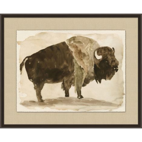 Watercolor Bison