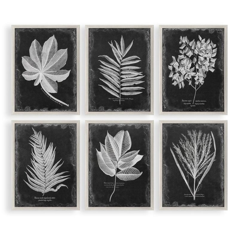 MBW - FOLIAGE PRINT  34&quot; X 26&quot;