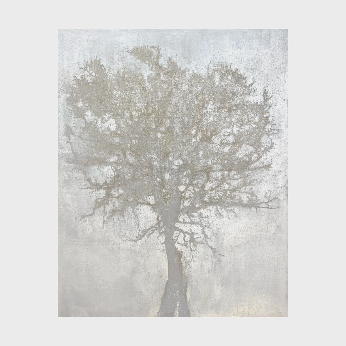 Cedro Emboss GALLERY WRAP 40x50