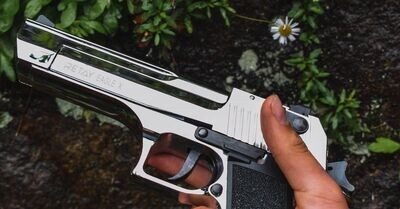 Firearms Permits