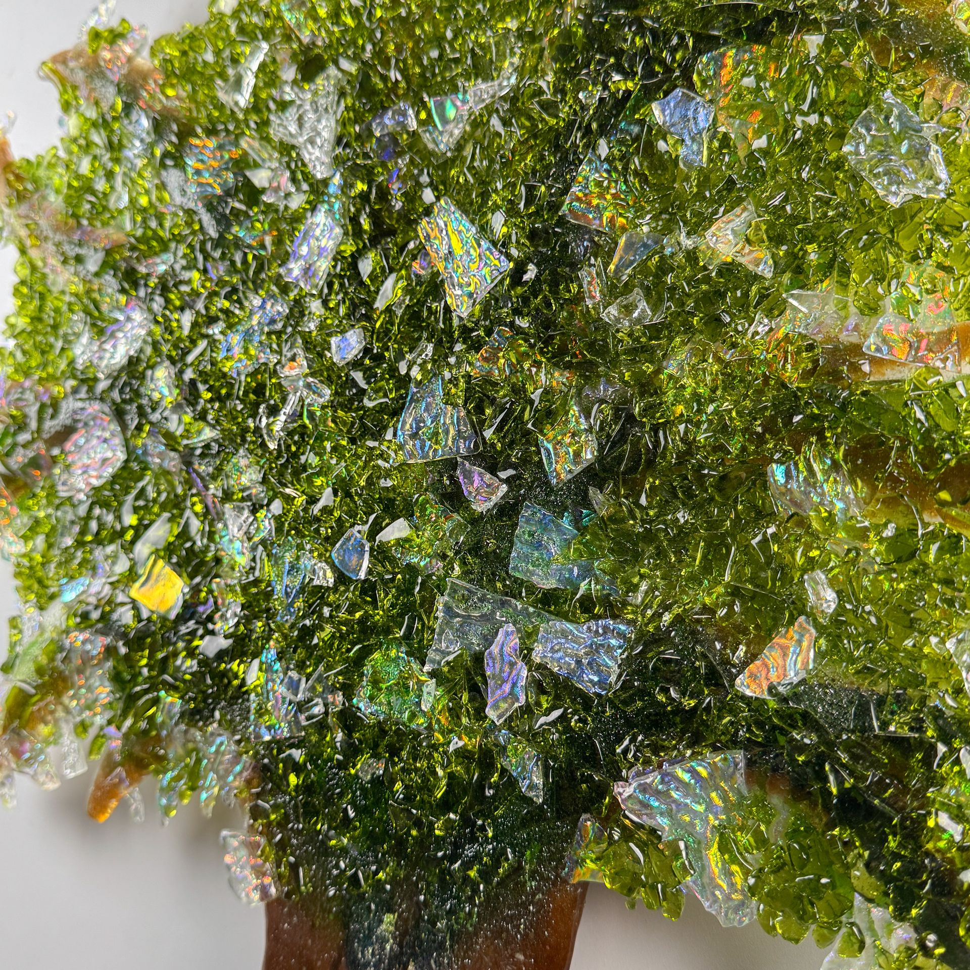 Tree of Life