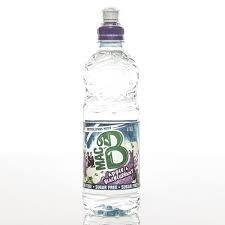 Mac B Apple &amp; Blackcurrant 500ml