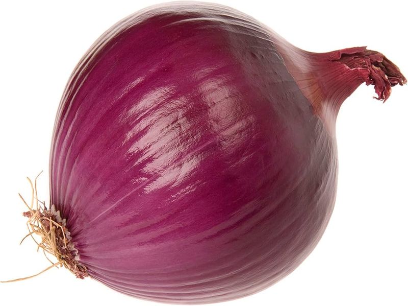 Red Onion (Single)