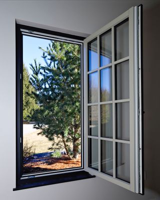 Windows
