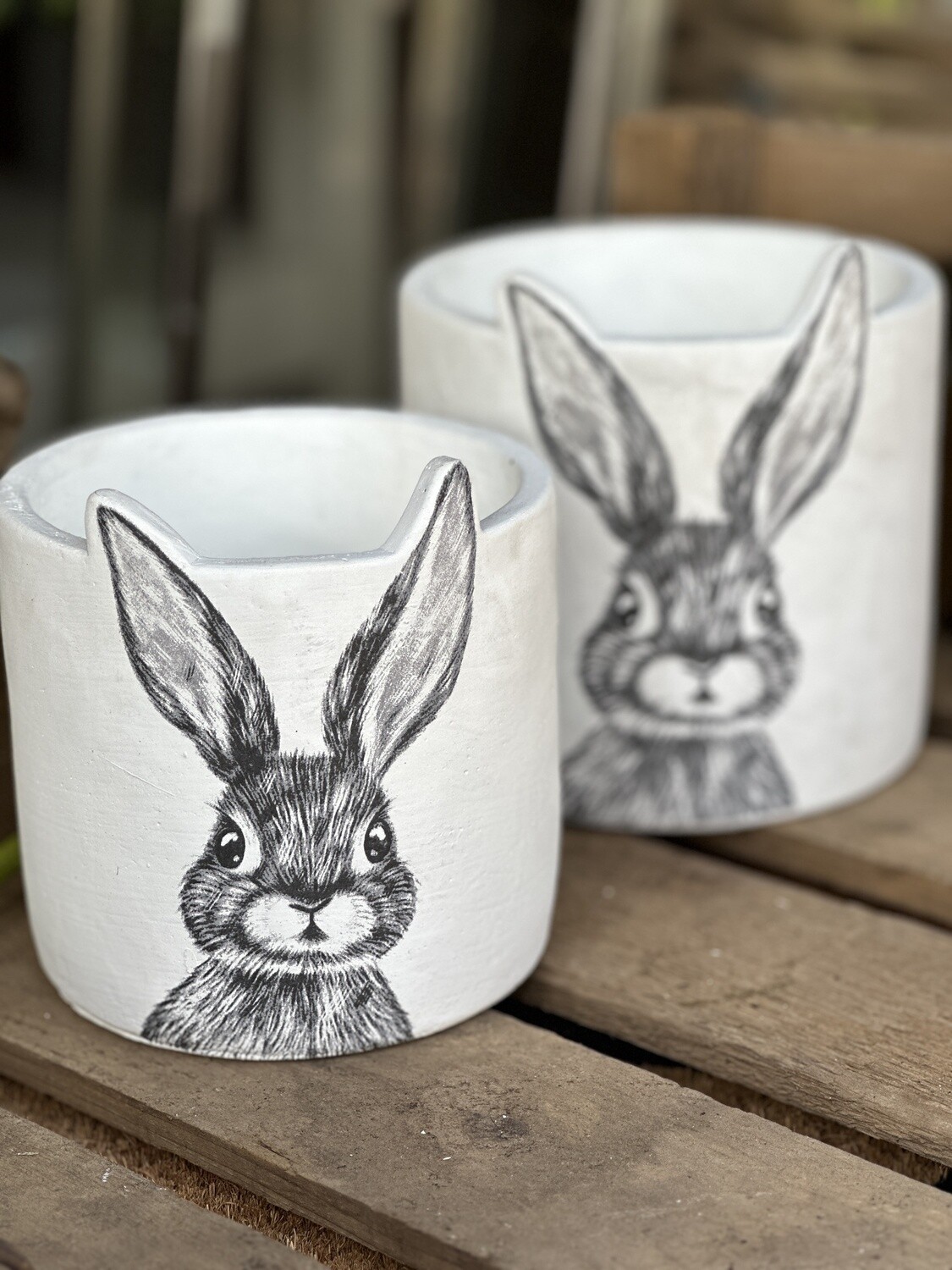 Bunny Plant Pots