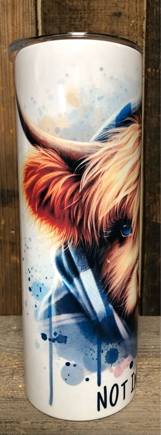 Highland Cow Blue Eyes Tumbler