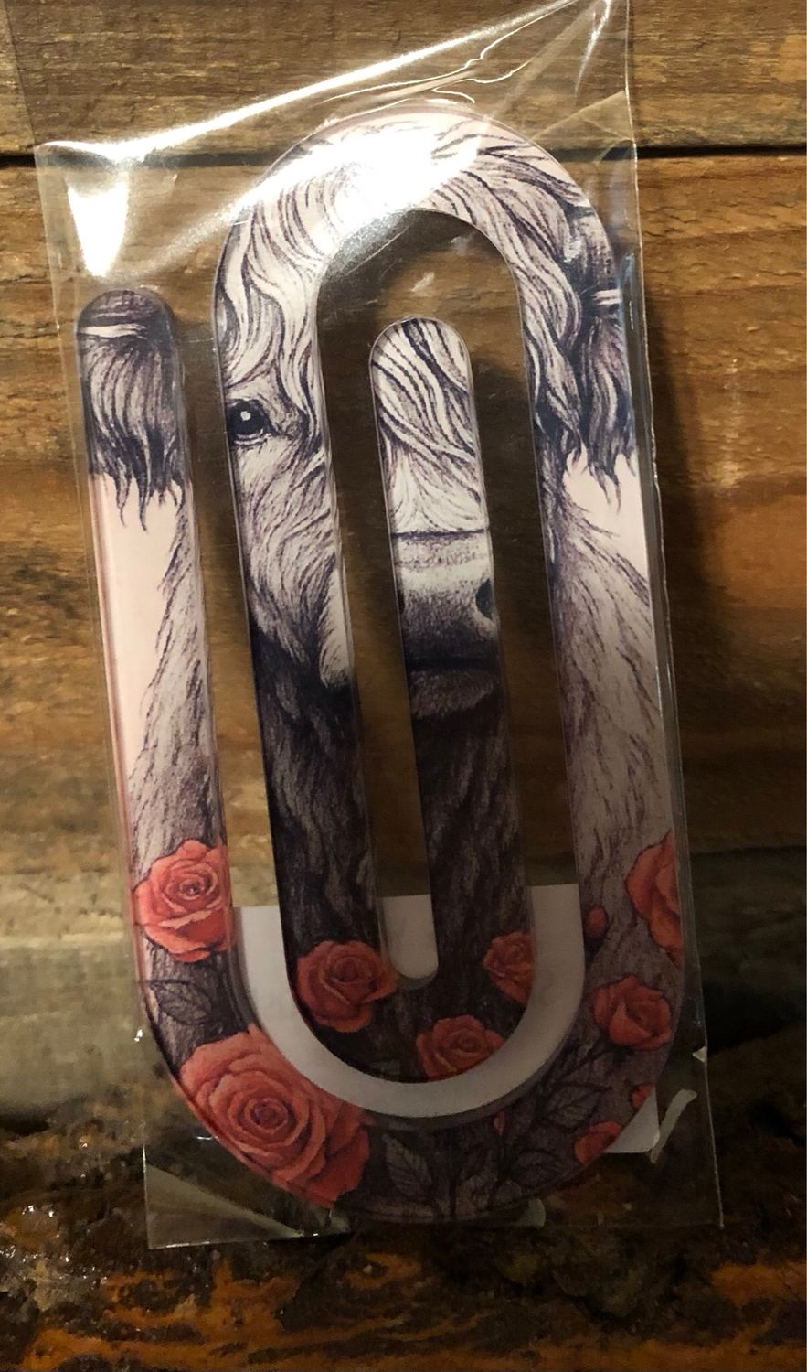 Highland Cow And Roses