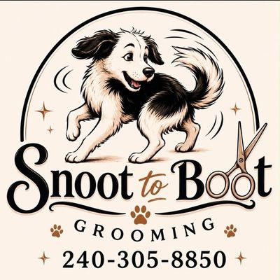 Snoot to Boot Pet Grooming