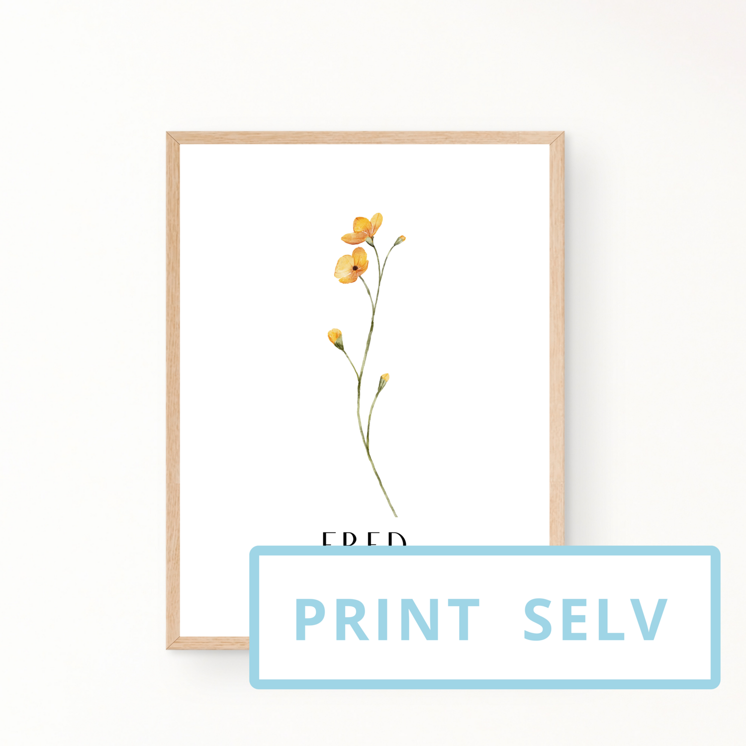 &quot;FRED&quot; (print selv)