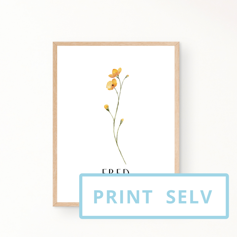 &quot;FRED&quot; (print selv)