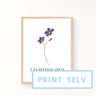 &quot;TÅLMODIGHED&quot; (print selv)