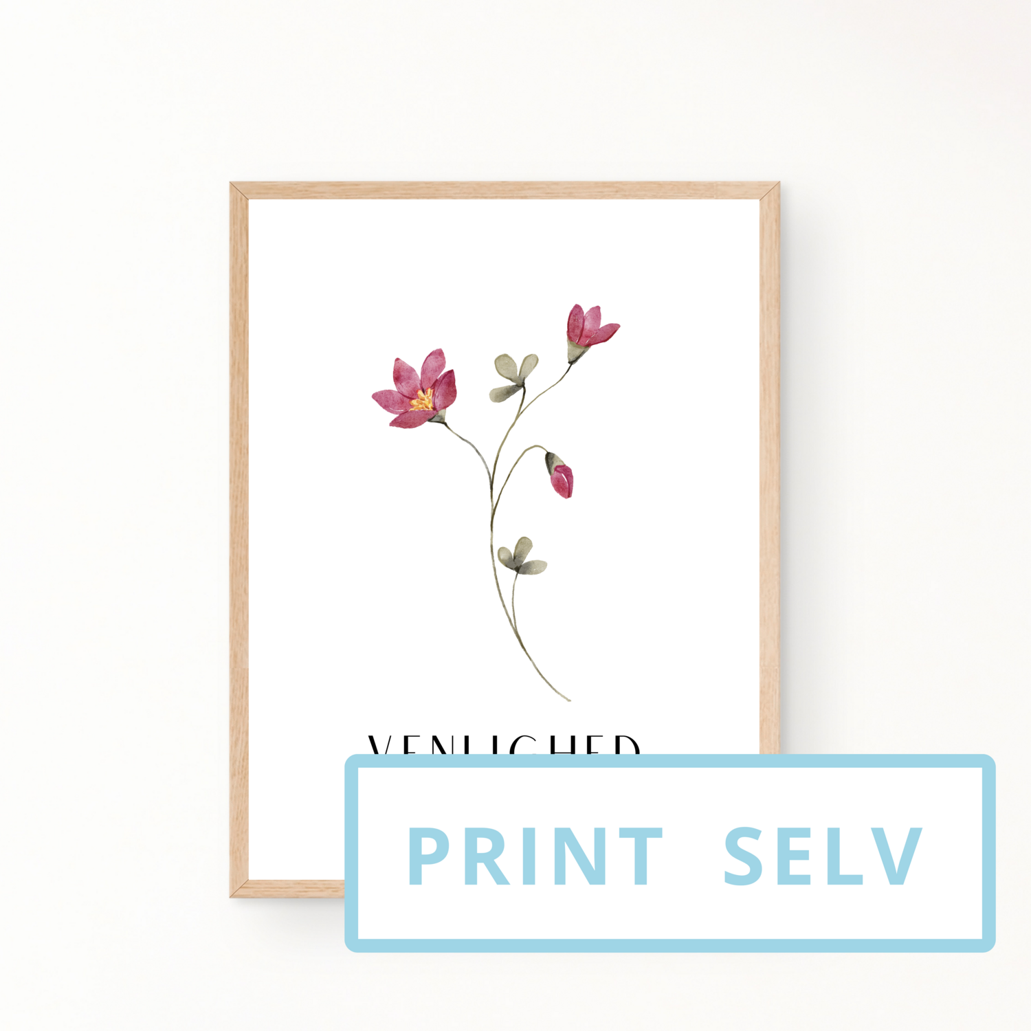 &quot;VENLIGHED&quot; (print selv)