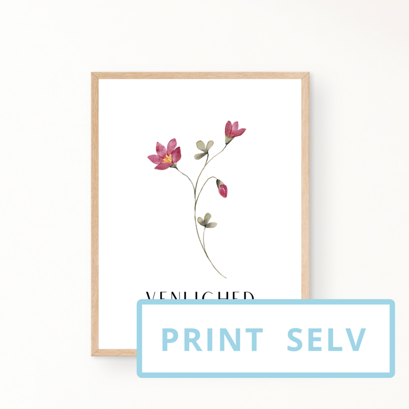 &quot;VENLIGHED&quot; (print selv)