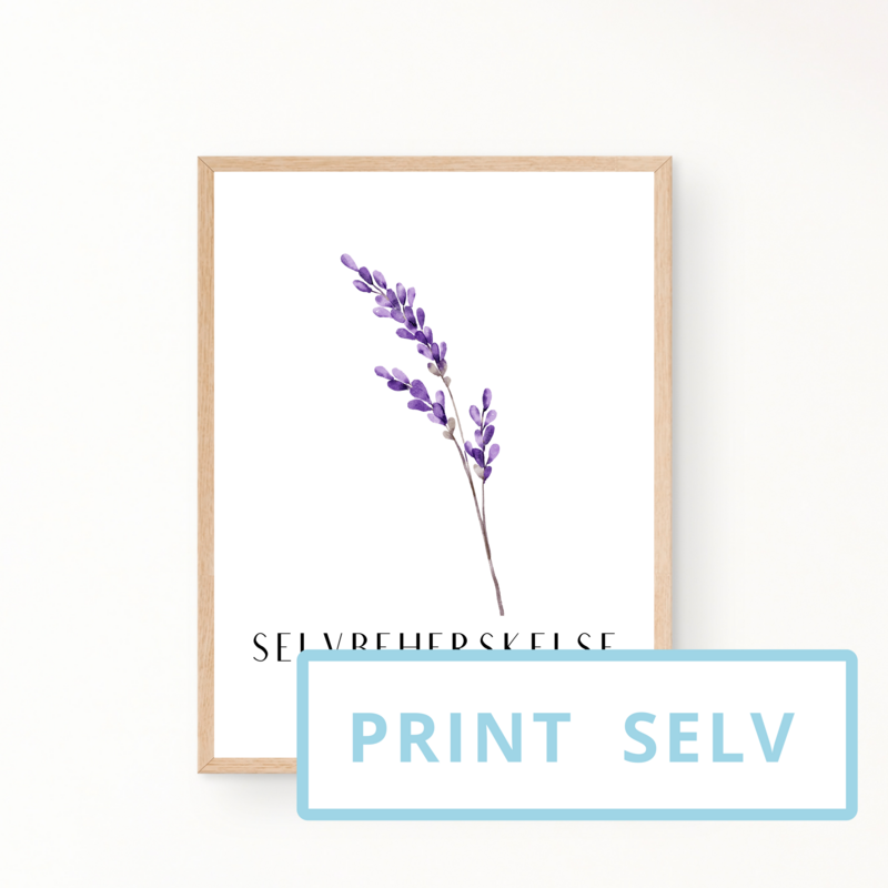 &quot;SELVBEHERSKELSE&quot; (print selv)