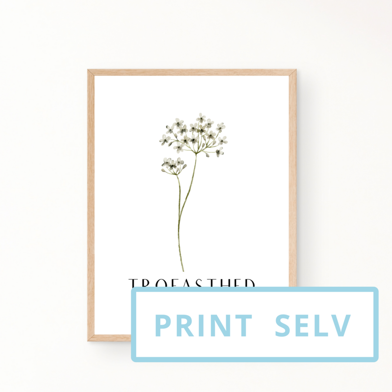 &quot;TROFASTHED&quot; (print selv)