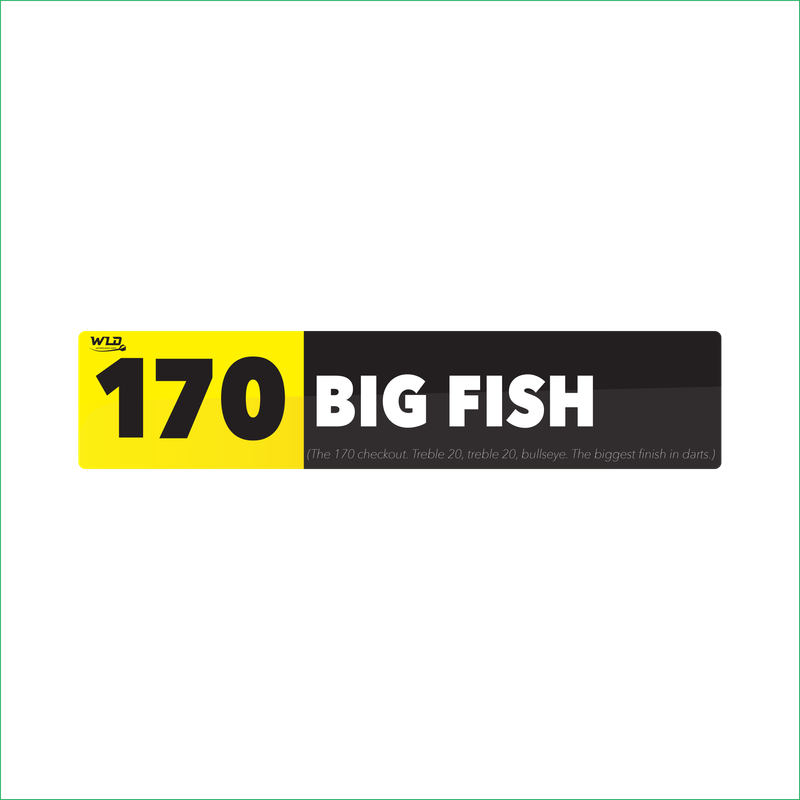 DARTS Slang Help Signs (170 BIG FISH)