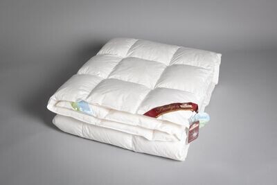 BIOVITAL PIUMINO D'OCA PESO INVERNALE PLUS TRAPUNTATURA A RIQUADRI 37X33 PIUMA SIBERIA 99/1. MATRIMONIALE 250 X 200
