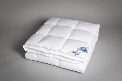 COMFORTBALL PIUMINO DA LETTO 100% FIBRA CAVA DI POLIESTERE IN MICROSFERE PESO LIGHT TRAPUNTATURA A RIQUADRI 25X25. MATRIMONIALE 250X200 COMFORTBALL PIUMINO DA LETTO 100% FIBRA CAVA DI POLIESTERE IN MICROSFERE PESO LIGHT TRAPUNTATURA A RIQUADRI 25X25. MATRIMONIALE 250X200