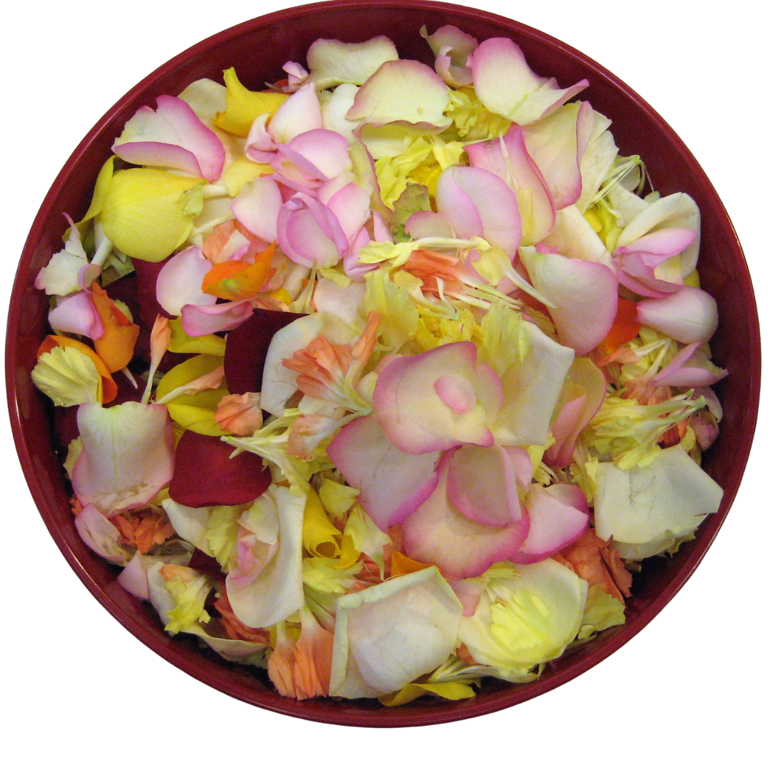 Nachwerfblüten