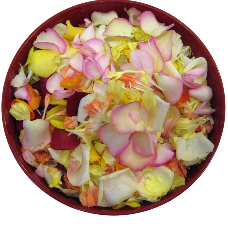 Nachwerfblüten