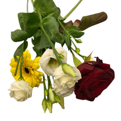 Einzelblumen
