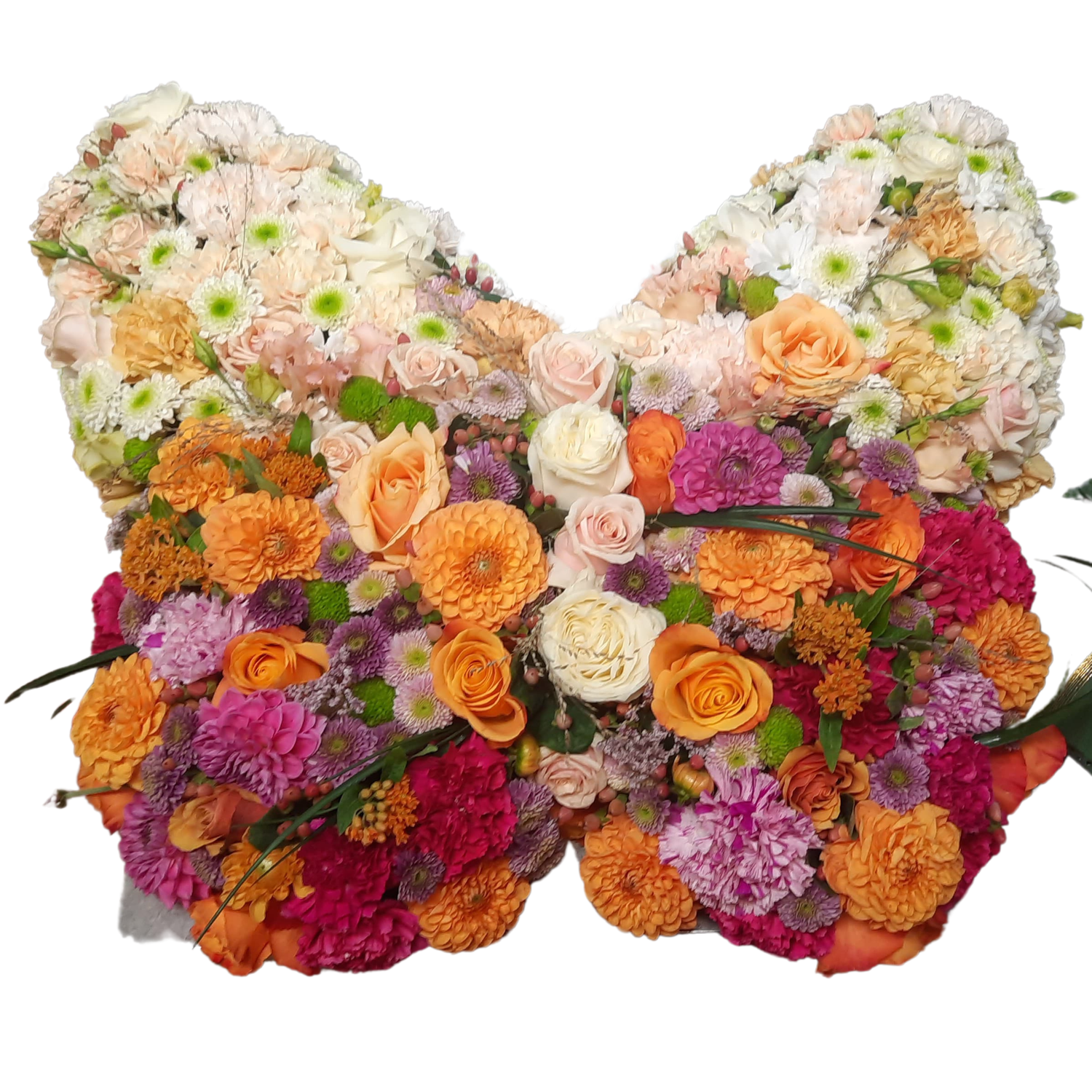 Schmetterling