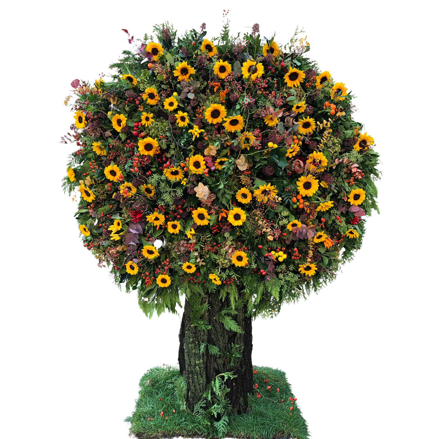 Baum
