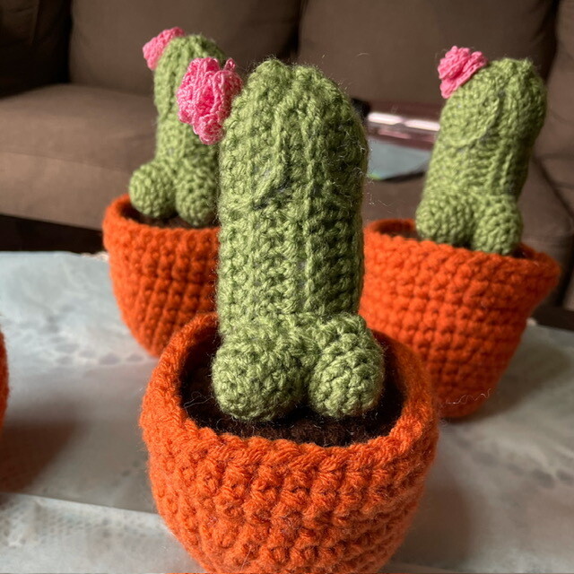 Prickly Pear Cactus