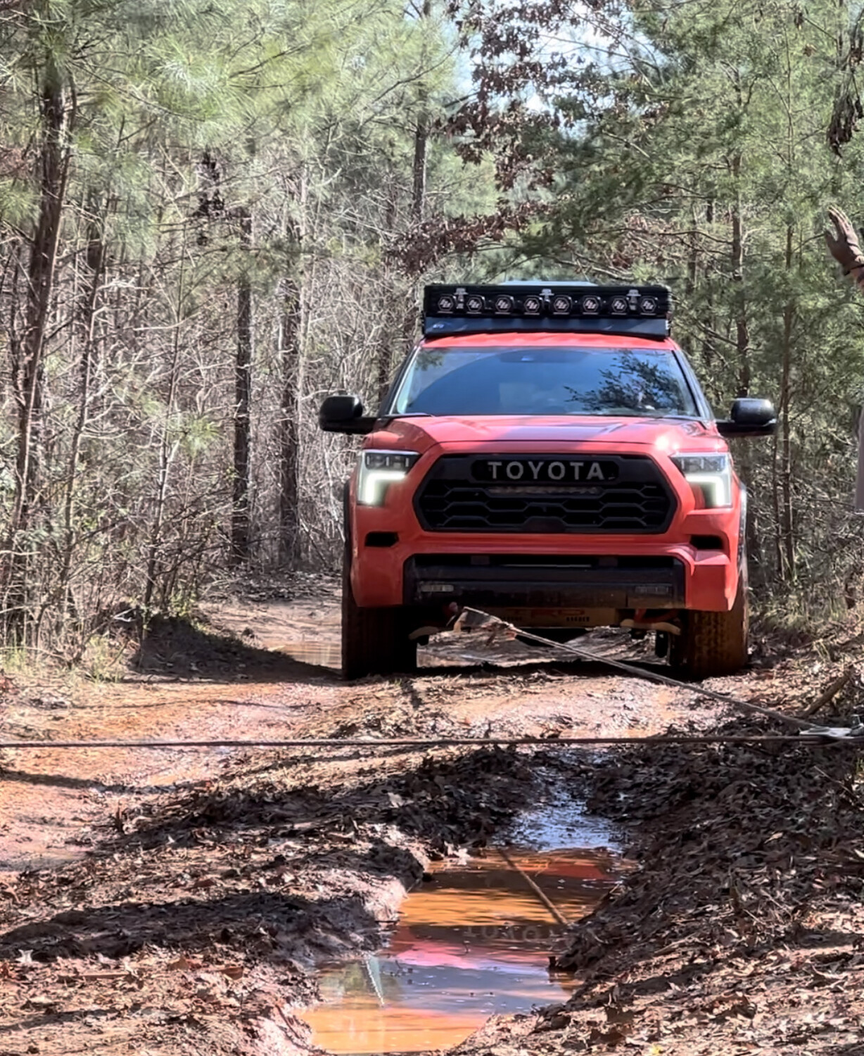 Apex - Front Recovery Points - 3rd Gen Sequoia 23+