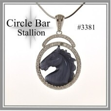 Circle Bar Stallion