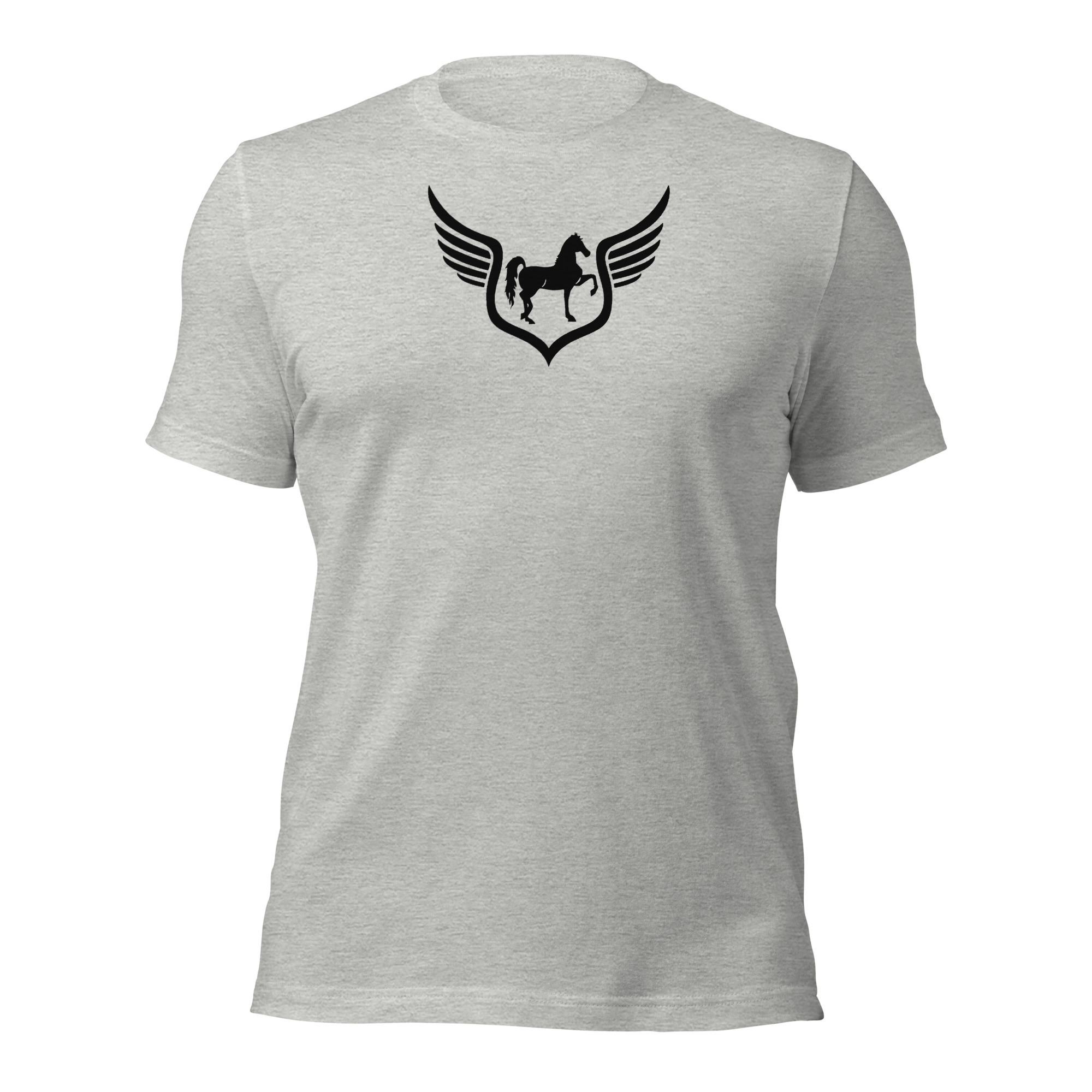 Unisex t-shirt (additional colors)