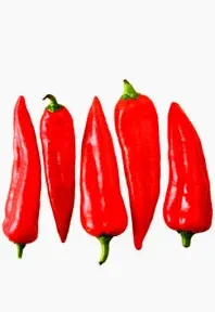Long Pepper
