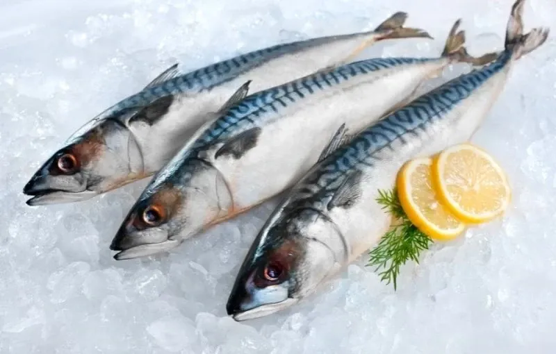 Mackerel Fish ( 4pieces)