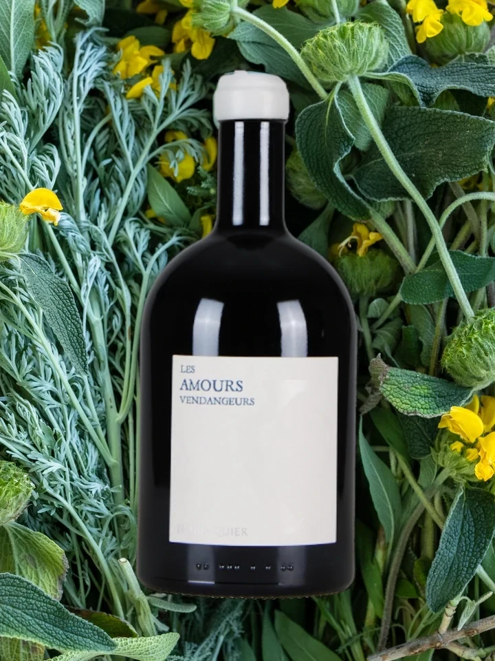 Mas Foulaquier Les Amours Vendengeurs - Syrah Rouge - 75cl - 2017