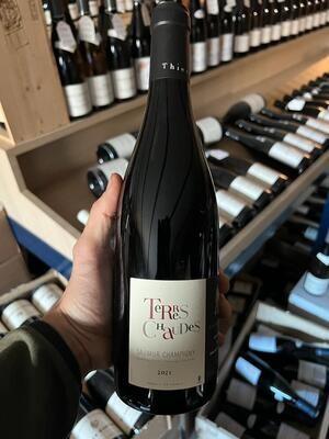 Terres Chaudes 2021 - Saumur-Champigny  - Domaine des Roches Neuves