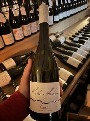 César 2021 - Blanc - Côtes du Rhône Villages - Domaine Roche-Audran