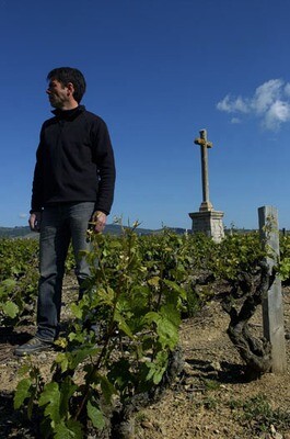 Domaine Jean-Marc BURGAUD