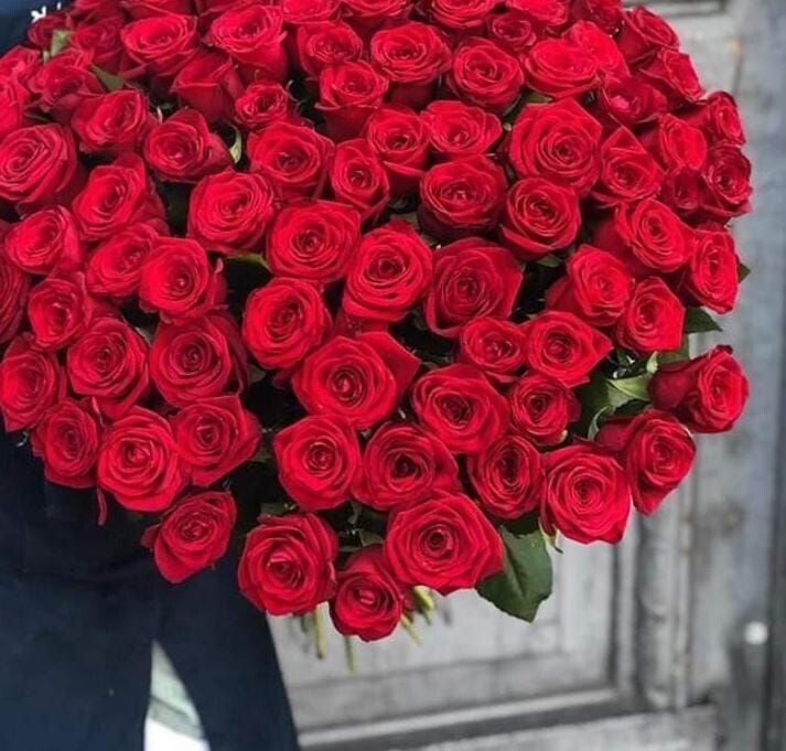 luxury roses