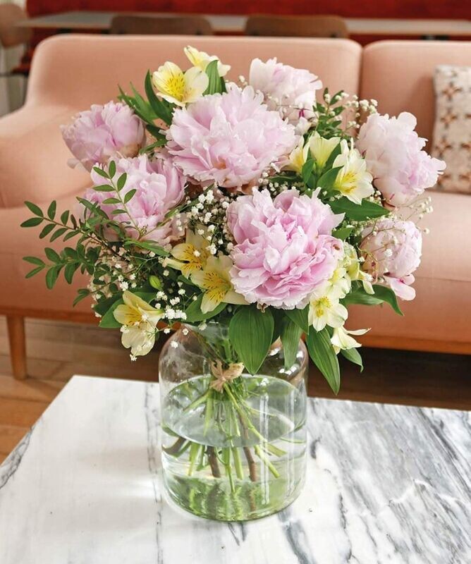peonia 7