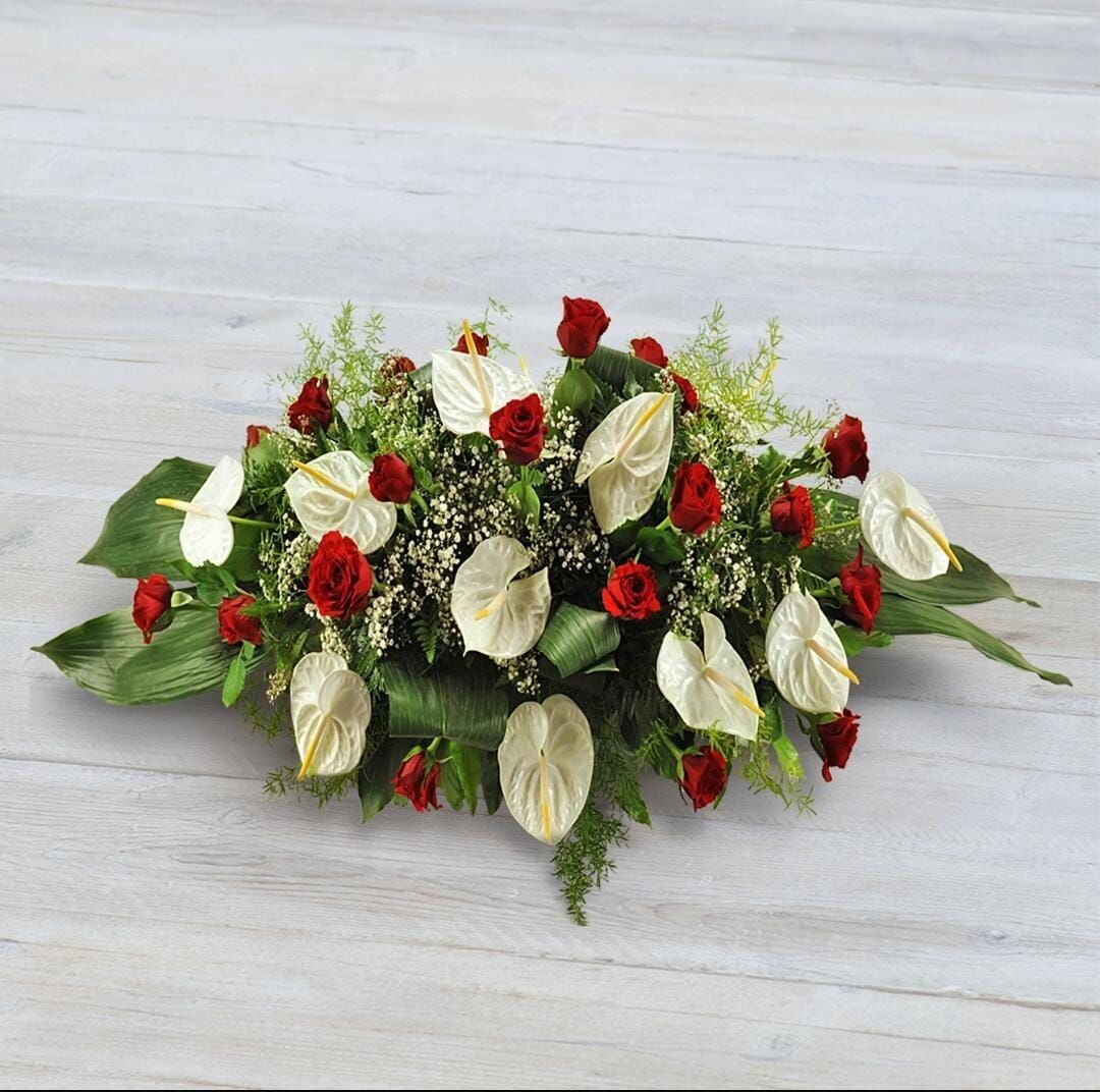 elegante saluto
